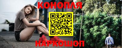 крисы Нягань