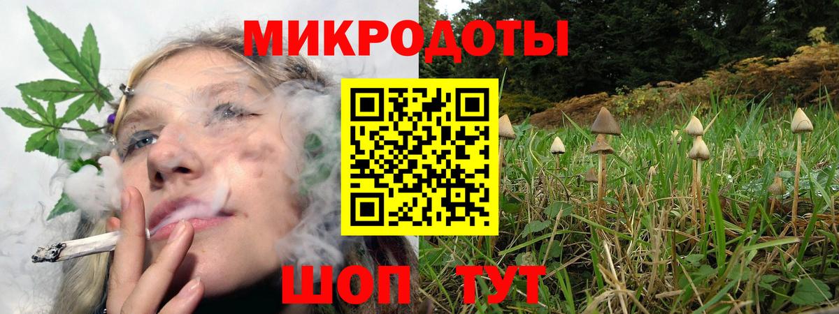 купить наркотики цена  Псилоцибиновые грибы Psilocybe  Вход с VPN  Омск 